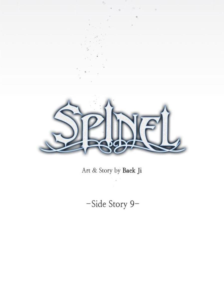 Spinel chapter 39