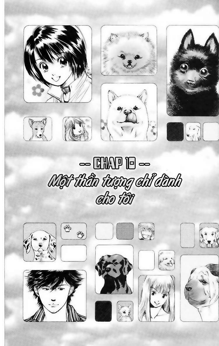cô nàng yêu chó chapter 10 1