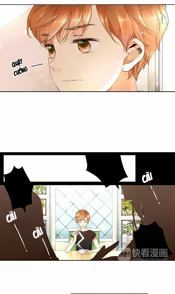 Tình yêu là màu hoa anh thảo chapter 15.1 4