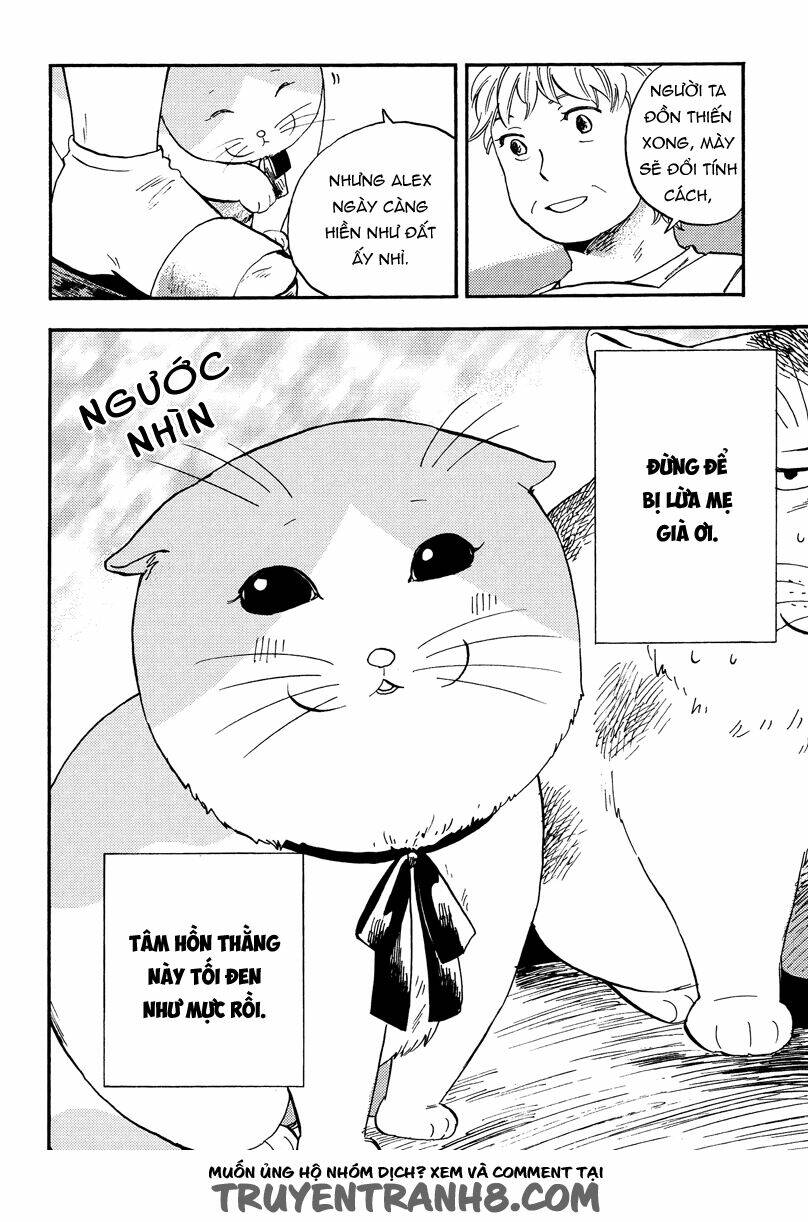 tui là busamen! chapter 3 15