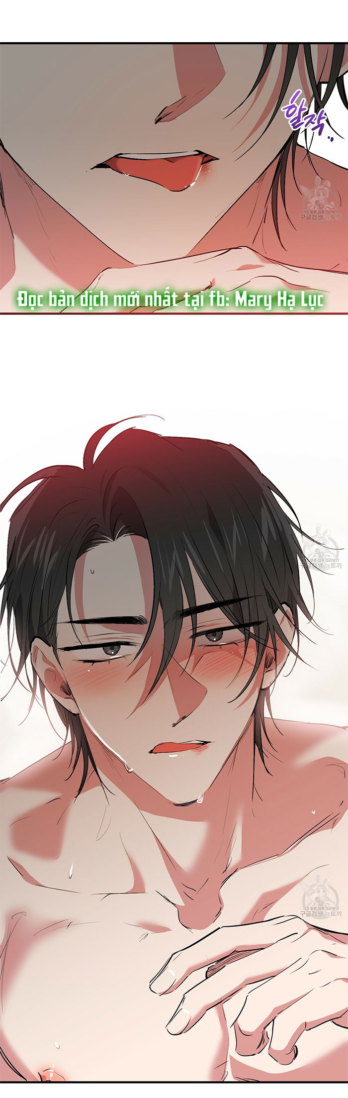 những chú thỏ của hapypy chapter 43 30