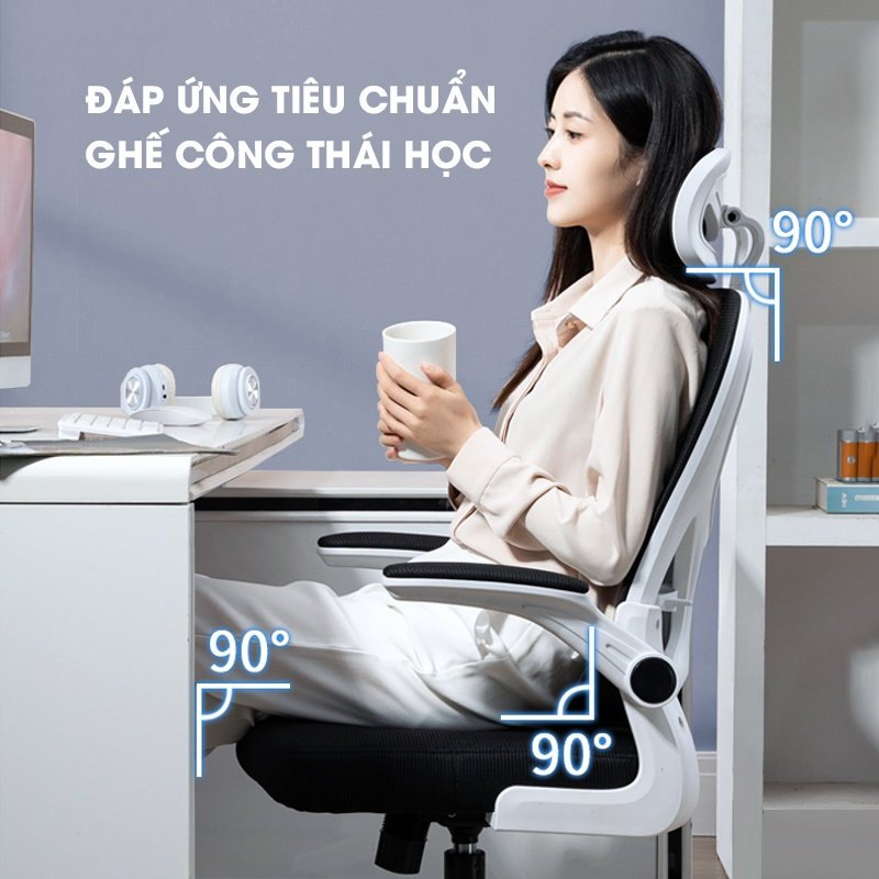 Ghế Văn Phòng Công Thái Học Ergonomic TANNI Premium 03, Ghế Xoay Văn Phòng Làm Việc Cao Cấp Nhập Khẩu