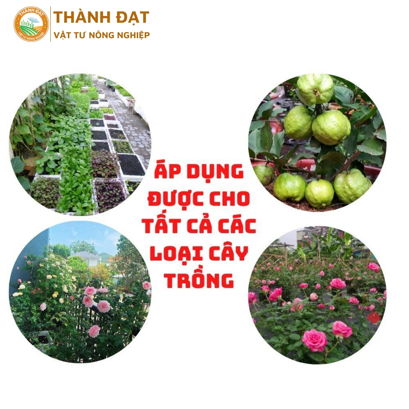 Phân bón đầu trâu NPK 20-20-15 gói 1Kg Bình Điền giúp cây tăng trưởng mạnh chuyên dùng cho rau, hoa, cây cảnh