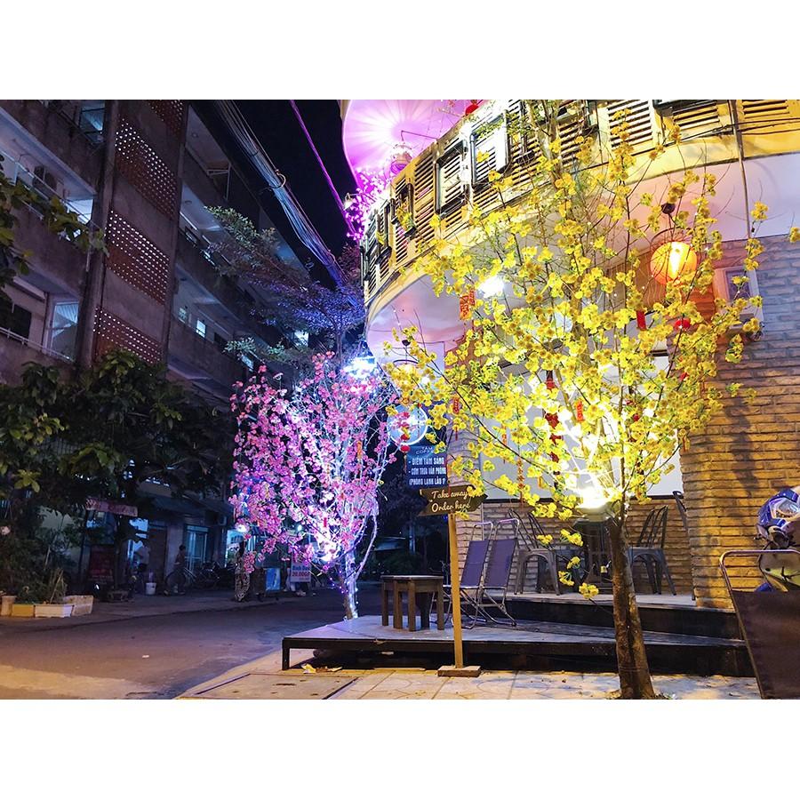 Chùm hoa mai hoa đào gắn cây trang trí ngày Tết
