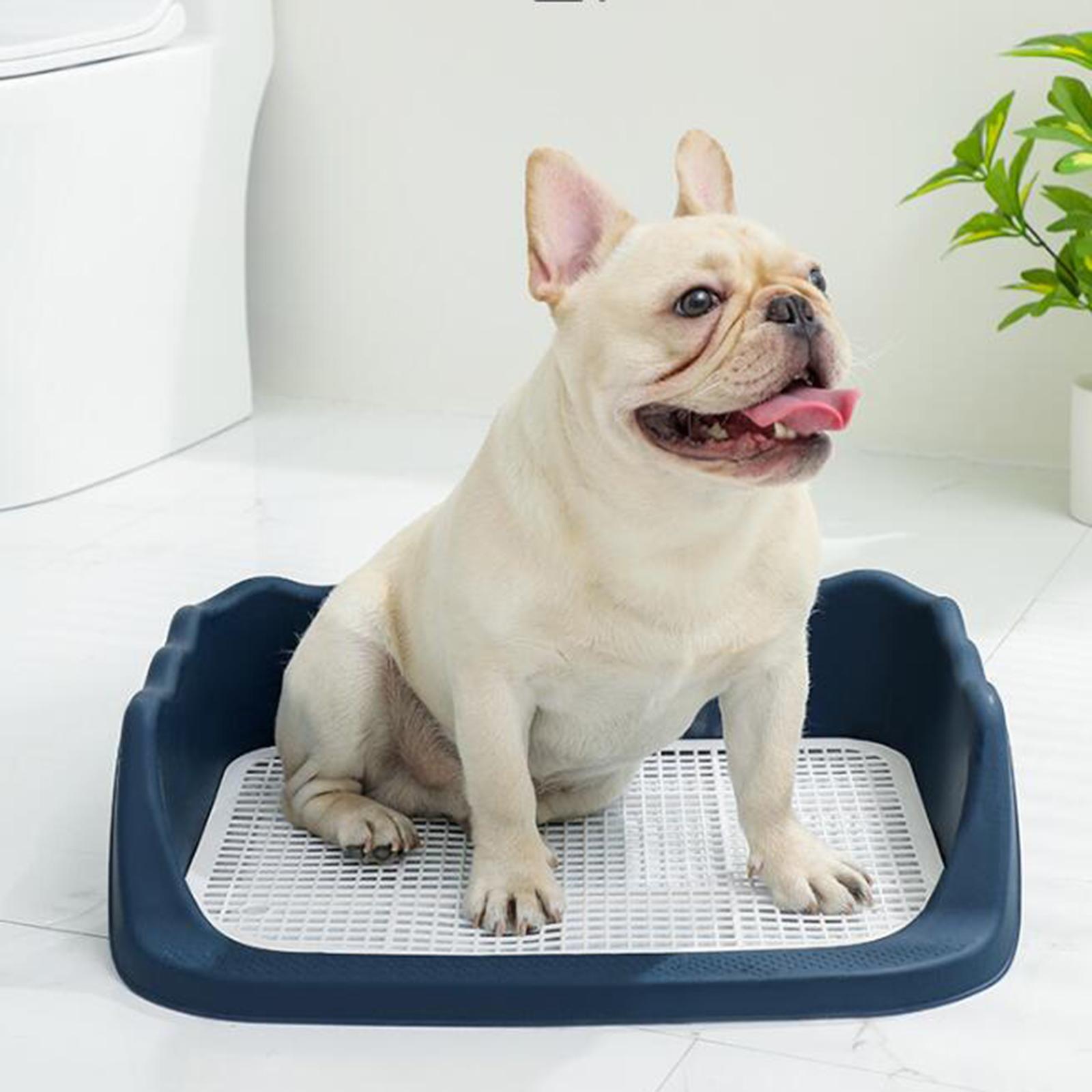 Pet Dog Toilet Cleaning Tool Guardrail Design for Chinchilla Puppy Bunny Dark