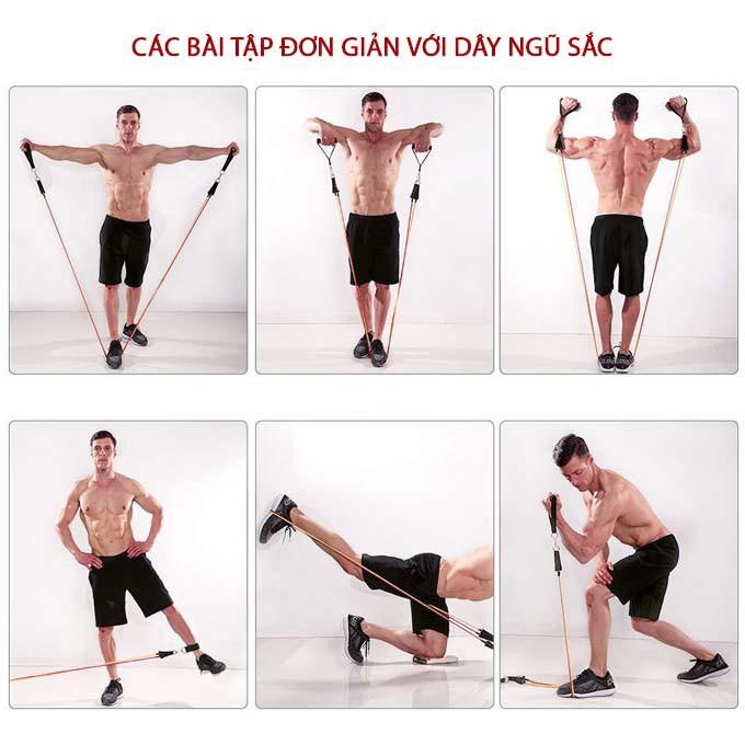 Dây Ngũ Sắc Tập Gym, Dây Kháng Lực Tập Gym, Thể Hình Đa Năng Tại Nhà Chất Liệu Cao Su Siêu Bền