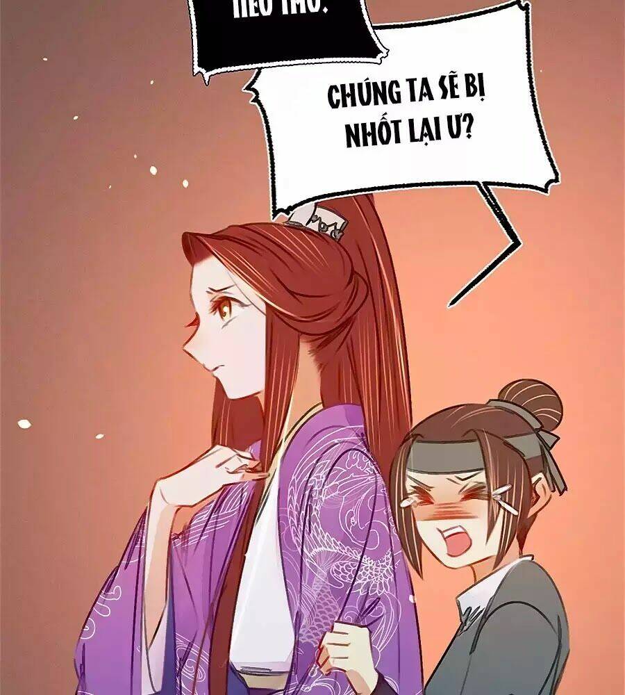 phượng hoàn triều: vương gia yêu nghiệt xin tránh đường chapter 38 41