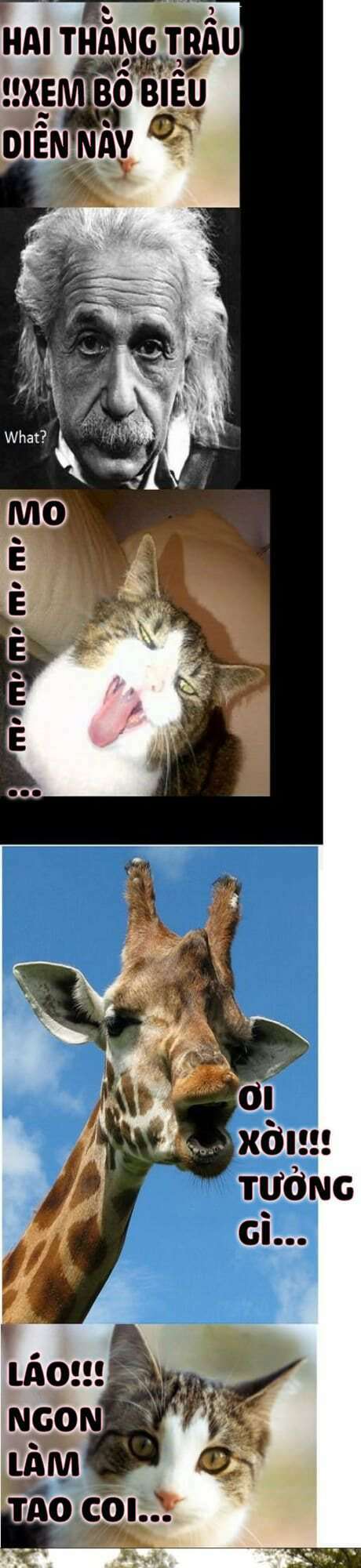 chuyện đồn đó đây chapter 6 2