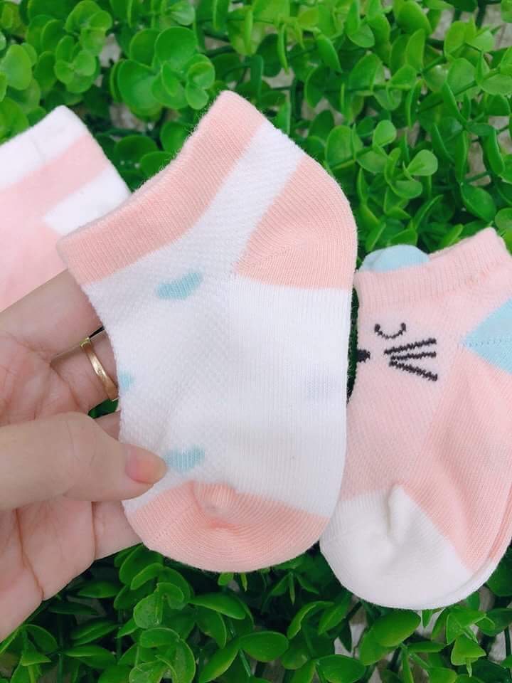 Set 5 Đôi Vớ Tất Lưới Mùa Hè Cao Cấp
