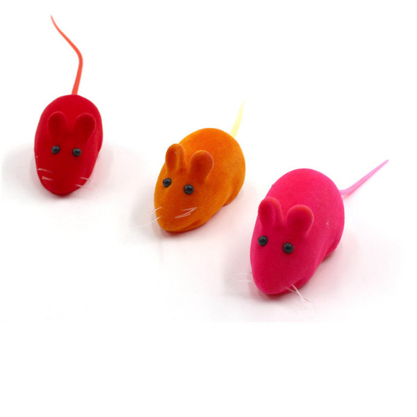 Bộ 5 món đồ chơi cho chó mèo - giao màu ngẫu nhiên - XDP01DC05