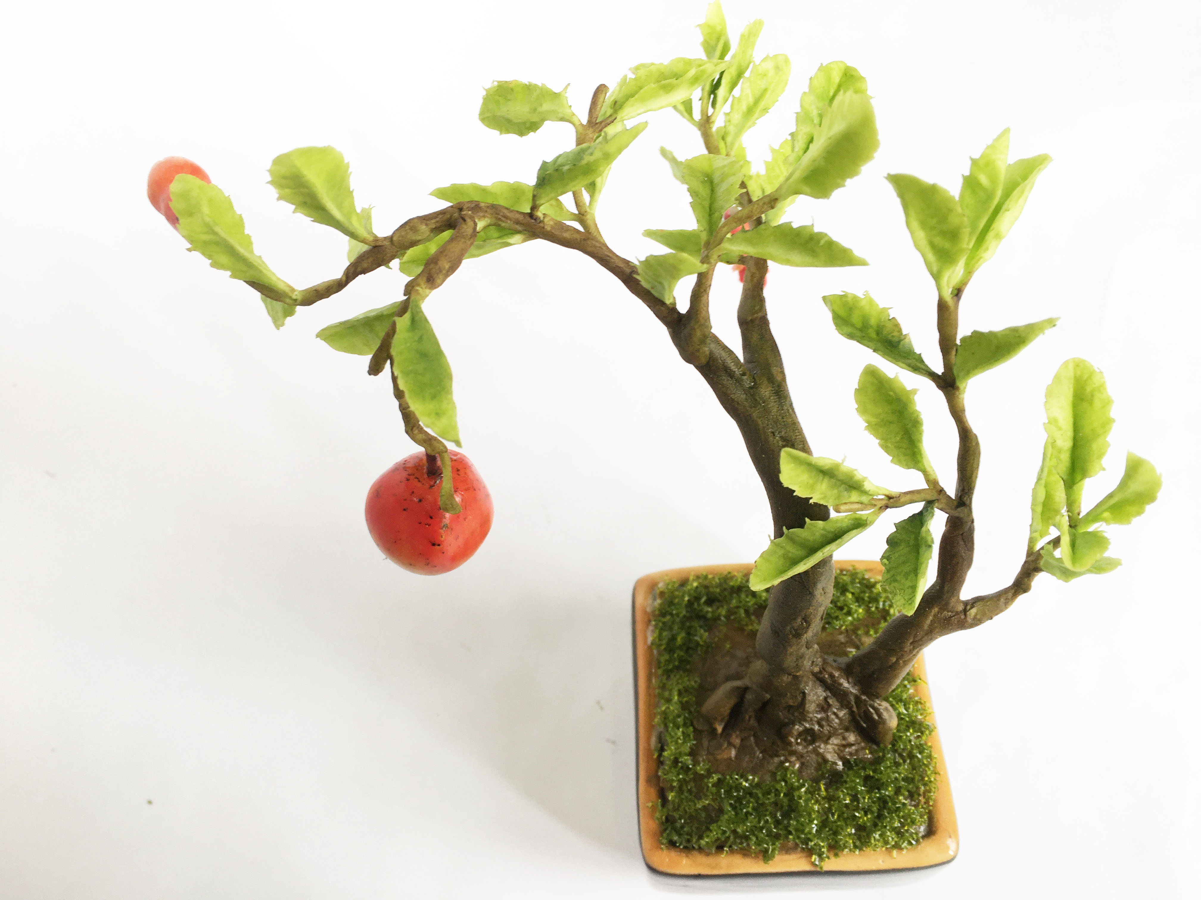 Chậu hoa đất sét mini- Bonsai lựu - Quà tặng trang trí handmade (18x10x10cm)