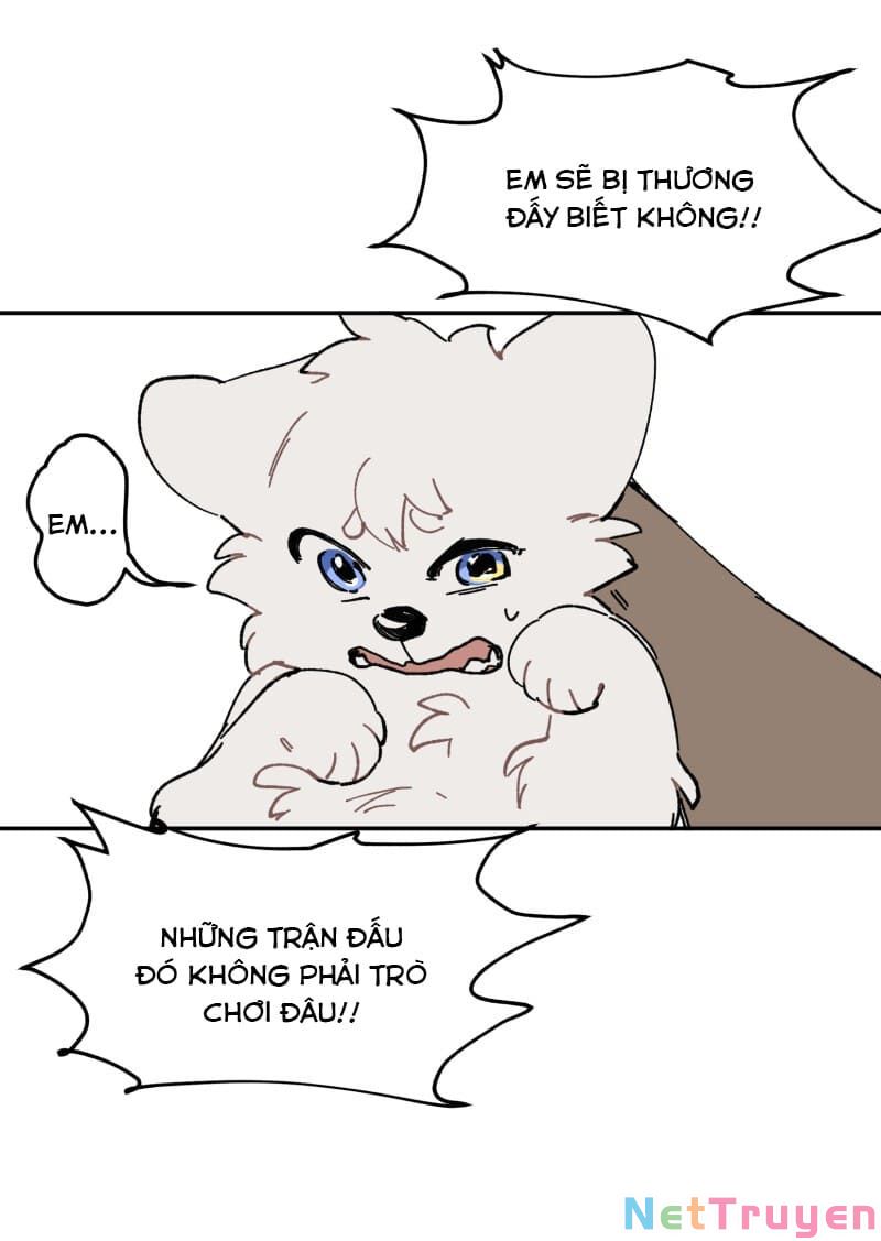 lumine - cội nguồn ánh sáng chapter 107 47