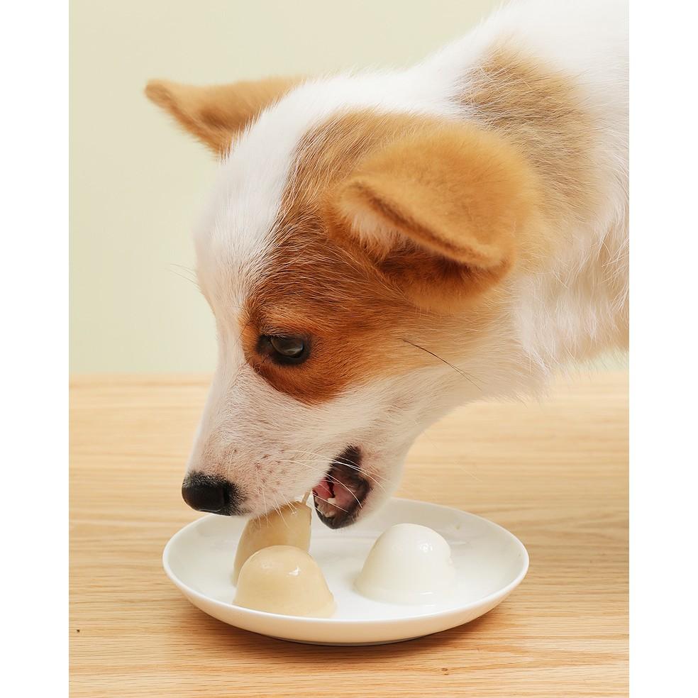 THẠCH SỮA DÊ PUDDING DÀNH CHO CHÓ MÈO - TREAT THƯỞNG