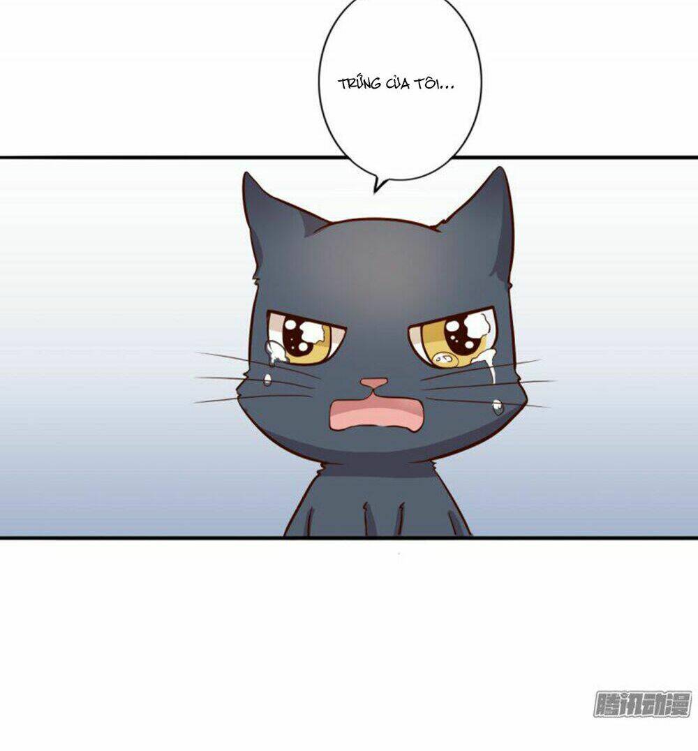 hai chú mèo totem chapter 3 28