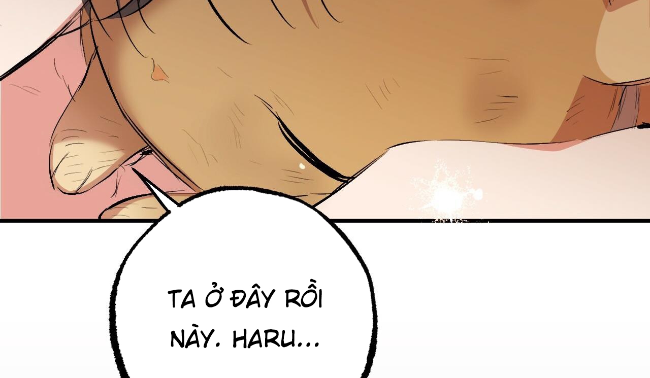 đàn thỏ của habibi chapter 50 245