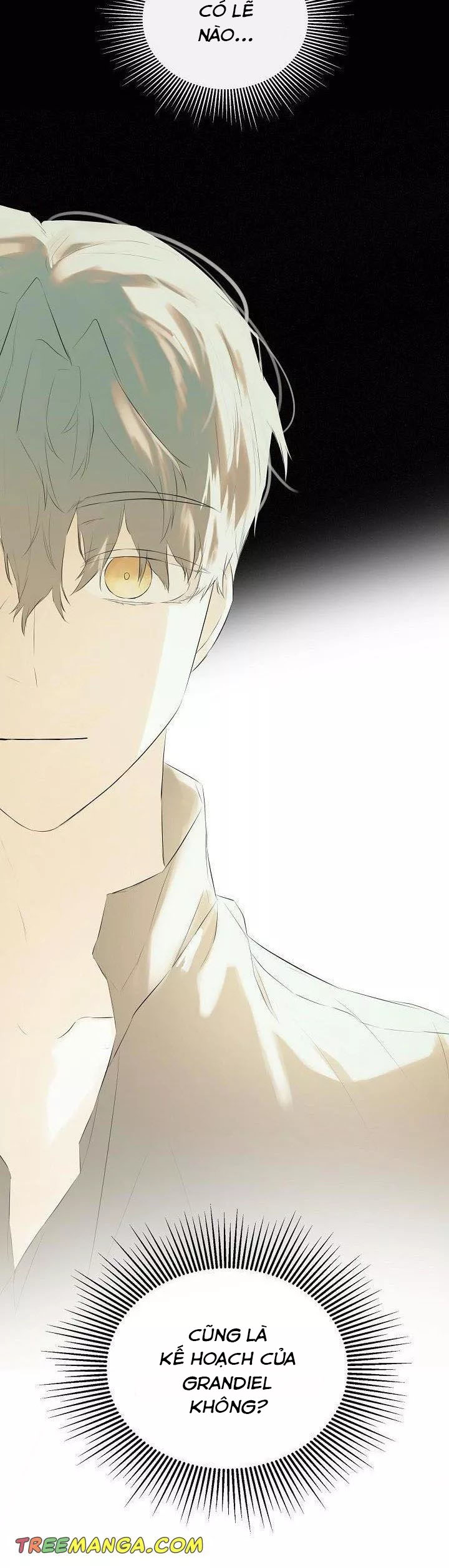 tôi biết bí mật của nam phụ chapter 31 7