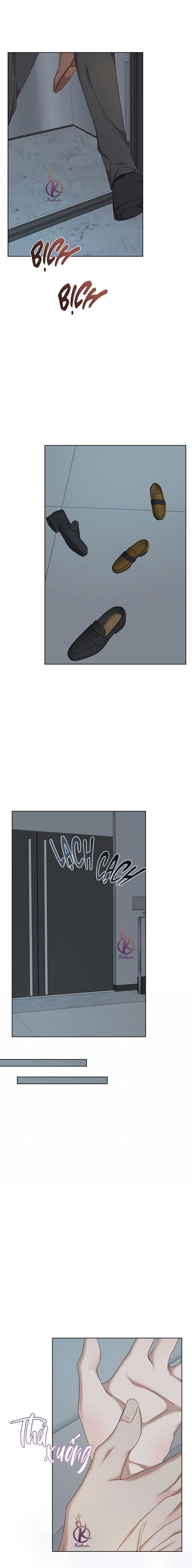 hình thái khởi sinh chapter 84 4