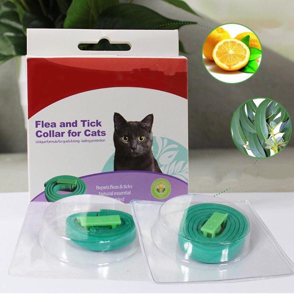 VÒNG PHÒNG VE, RẬN BỌ CHÉT CHO MÈO