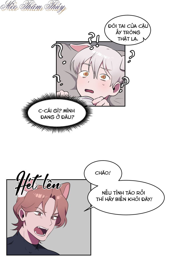 tình đầu chapter 1 11