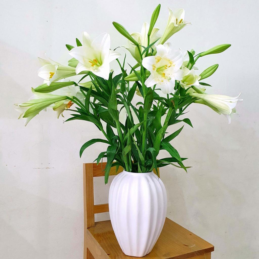 Lọ hoa Bát Tràng cao 30 cm cỡ to - Bình hoa decor trang trí gân sọc màu pastel