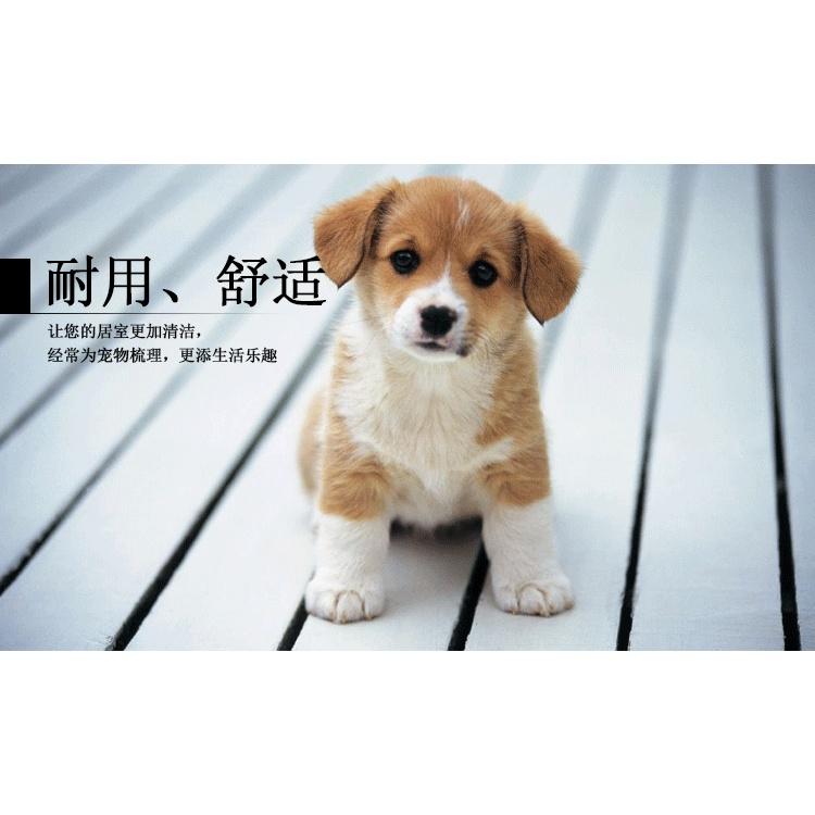 Multi-purpose Dog Cat Comb Brush Needle Pet Hair Brush for Dog Hair Remover Pet Beauty Grooming Tool