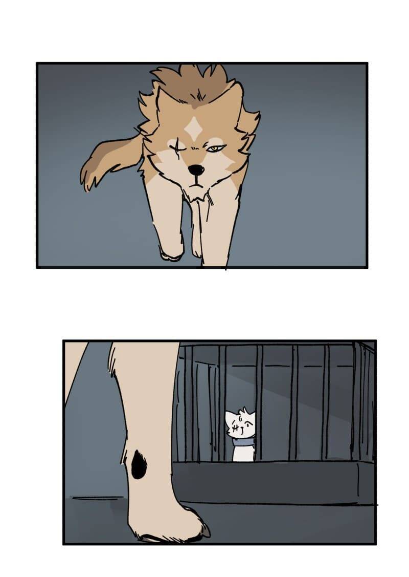 lumine - cội nguồn ánh sáng chapter 149 2