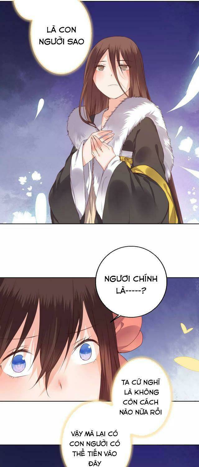 đốt đào hoa chapter 78 3