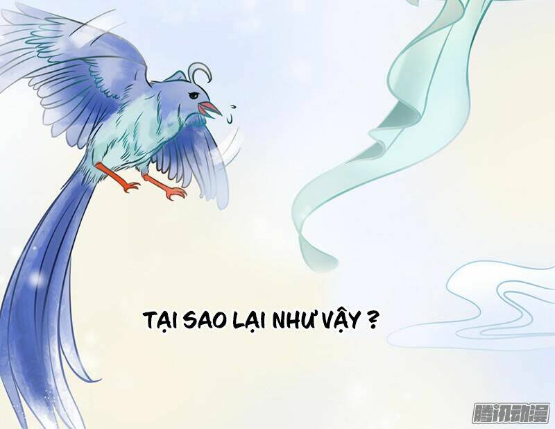 tình nhân kiếp trước là vĩ hồ chapter 1 20