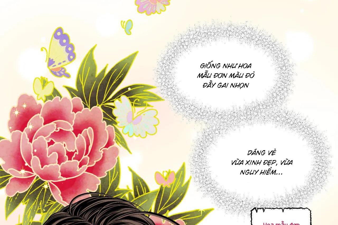 phò mã quan phu chapter 12 8