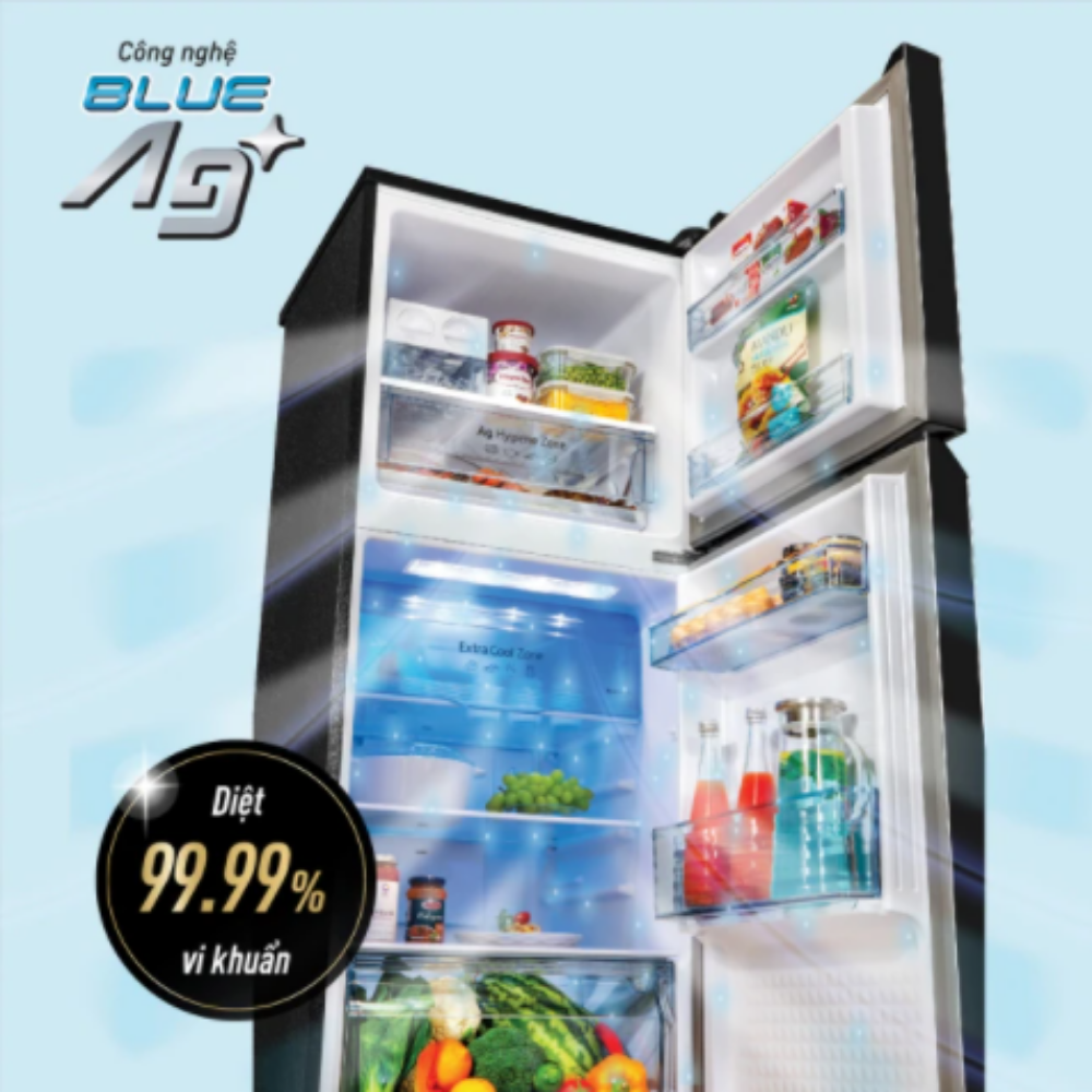 Tủ lạnh 2 cánh Panasonic 234 lít NR-TV261BPKV - Diệt khuẩn 99.99% - Tiết kiệm điện - Hàng chính hãng