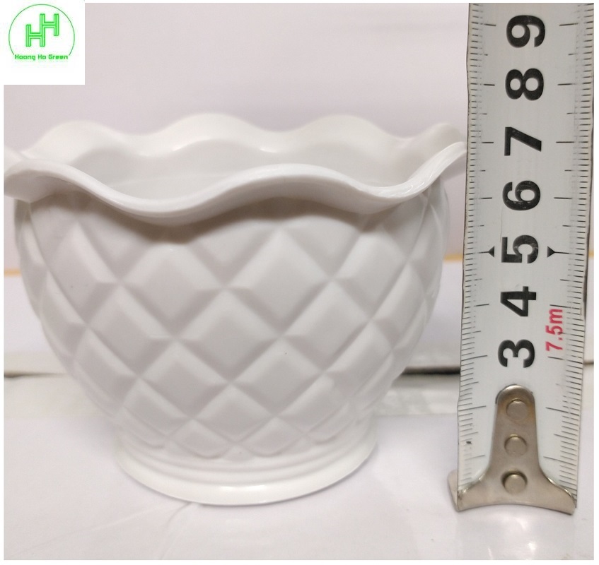 2 Combo chậu nhựa quả Dứa 100x70x60 + đĩa lót chậu 85x10 , trồng cây mini, xương rồng, cây để bàn, sen đá