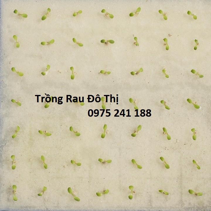 480 viên mút xốp ươm hạt kích thước 25x25x25mm hàng nhật chất lượng cao