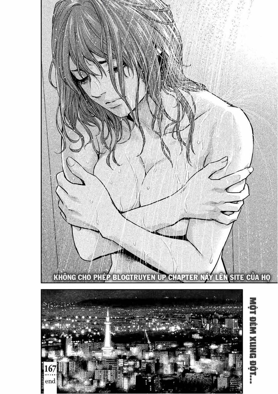 đạo luật nhiều vợ chapter 167 21