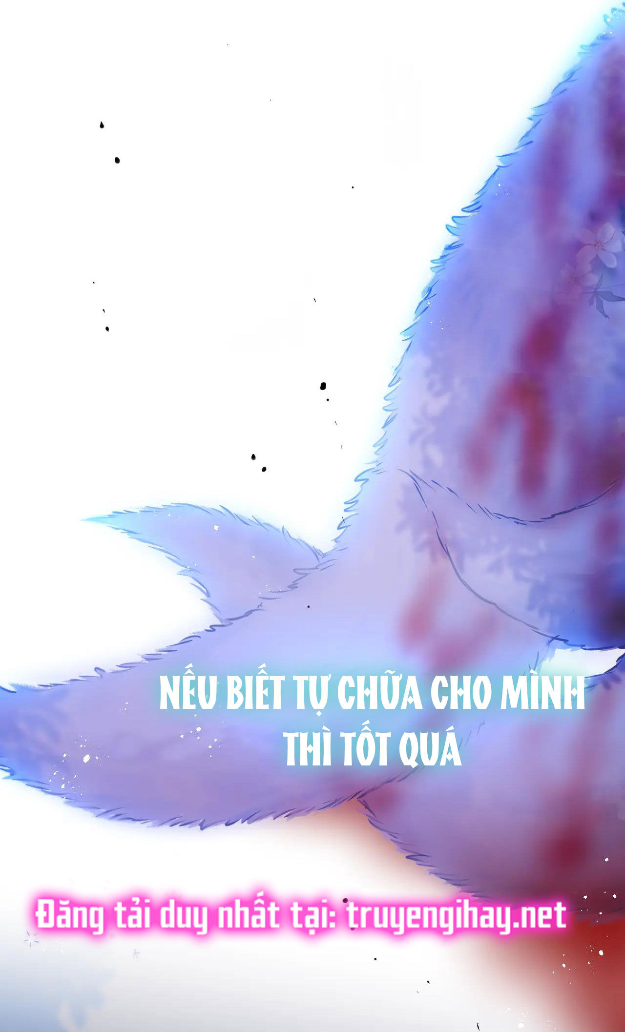 cạm bẫy của hồ ly chapter 28.2 1