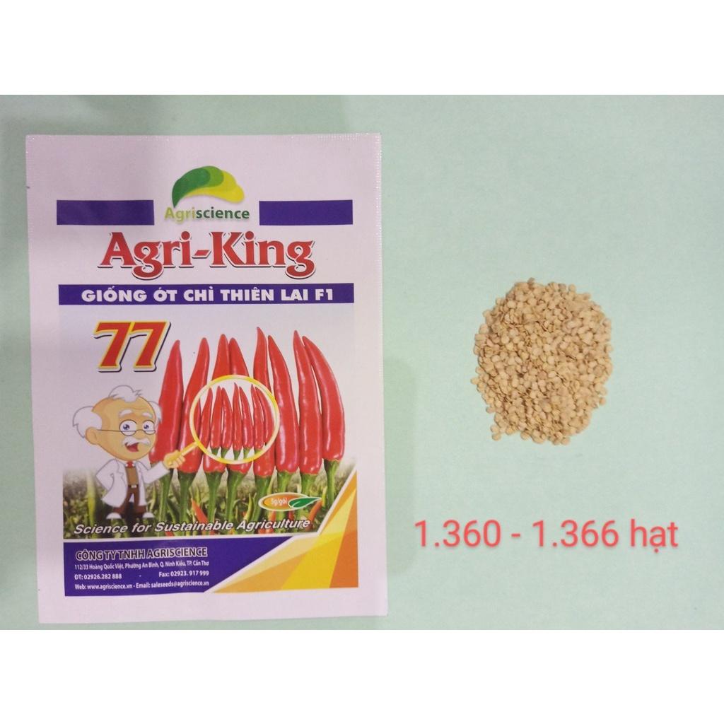 Hạt giống ớt chỉ thiên lai F1 AGRI-KING 77 - ( Gói 5gram - 1366 hạt )