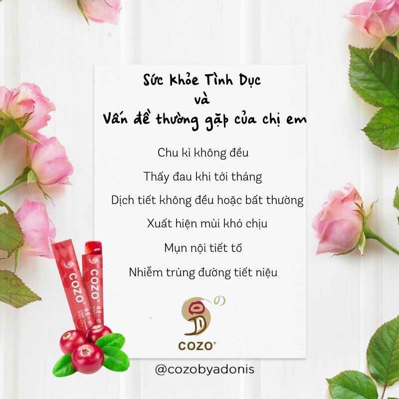 Thạch Giúp Cân Bằng Và Ngăn Nhiễm Trùng Đường Tiết Niệu COZO Cranberry Jelly Chiết Xuất Nam Việt Quất Và Elderberry, Tăng Khả Năng Miễn Dịch