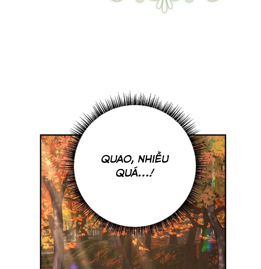 cô con gái út của ngài công tước phản diện chapter 62 46