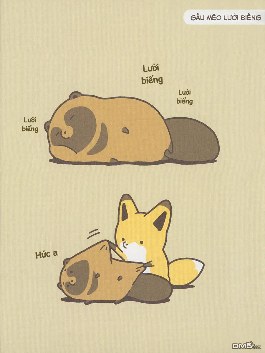 cáo và gấu mèo chapter 2 12