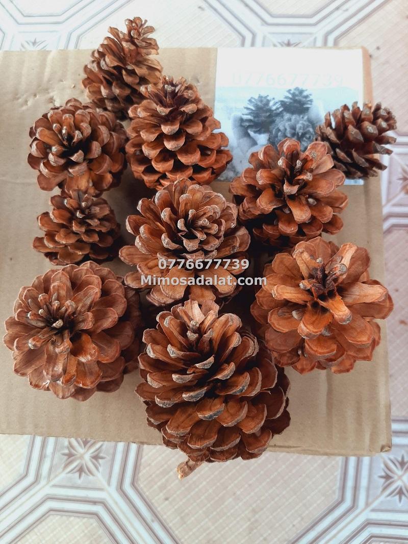 Quả thông khô phụ kiện trang trí giáng sinh