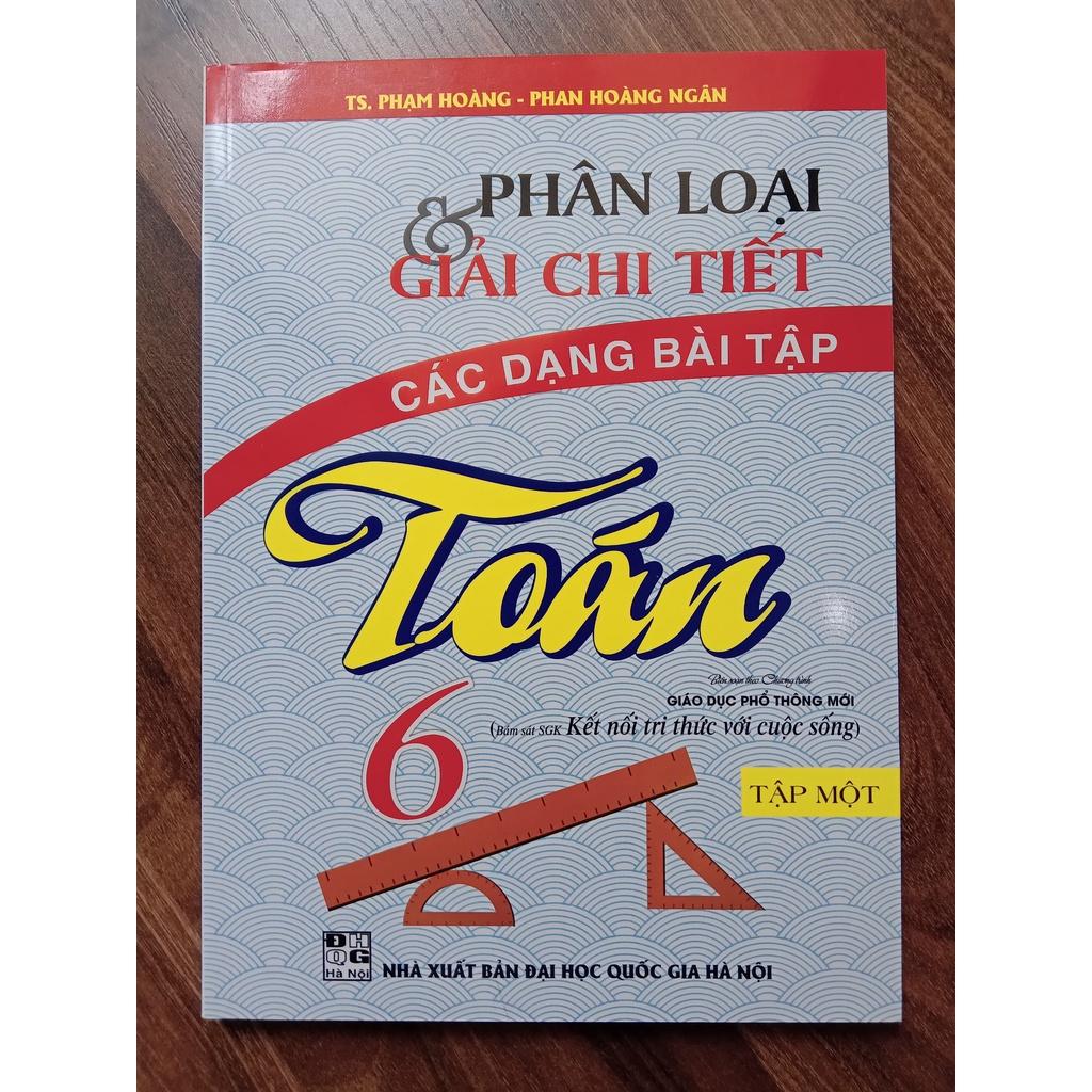 Sách - Combo 2 cuốn Phân Loại Và Giải Chi Tiết Các Dạng Bài Tập Toán Lớp 6