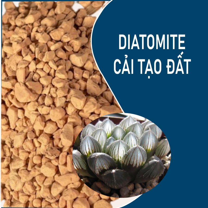 Đất trồng sen đá, xương rồng, bonsai Diatomite 3-6mm - dùng rải mặt chậu, phối trộn, cải tạo đất, đuổi sâu mọt, côn trùng