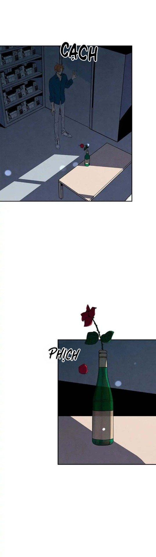 bona sort chapter 17 2