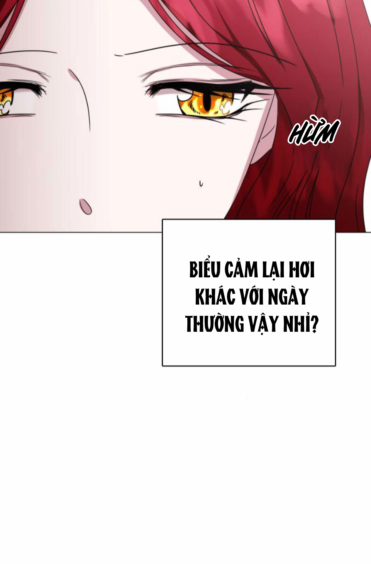 tôi hoán đổi thân xác với thái tử chapter 5.3 26