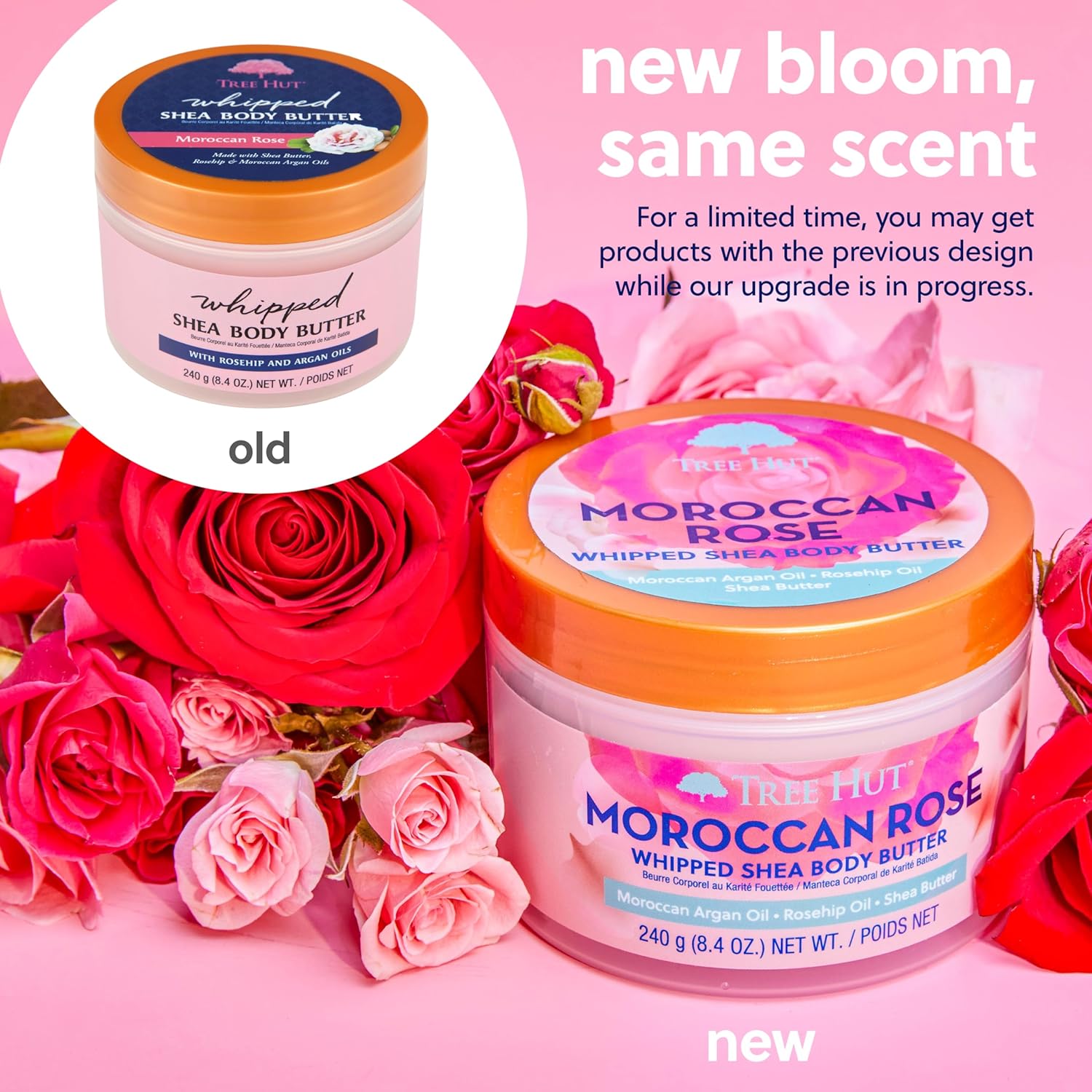 Bơ dưỡng thể Tree Hut Moroccan Rose Whipped Body Butter 240 gr