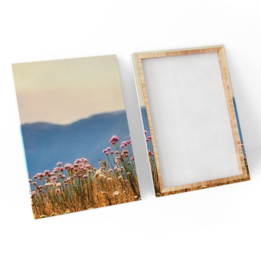 Bộ 3 Tranh Canvas Đồng Hoa Dại - W119