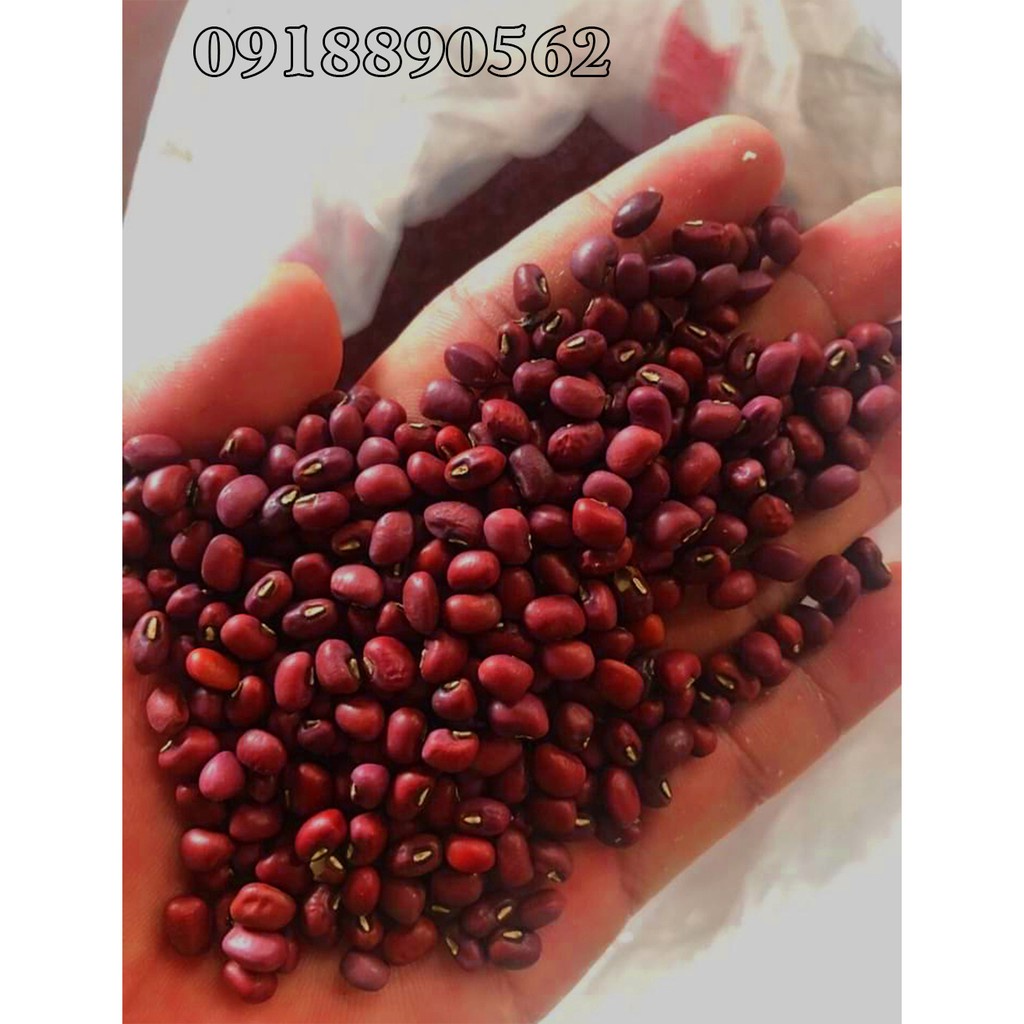 Đậu đỏ hạt nhỏ,nhà trồng bao sạch bịt 1kg