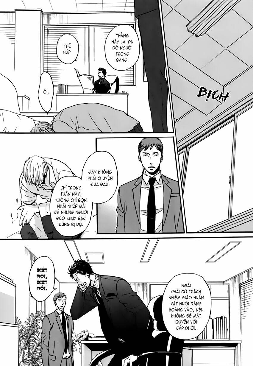 saezuru tori wa habatakanai chapter 10 5