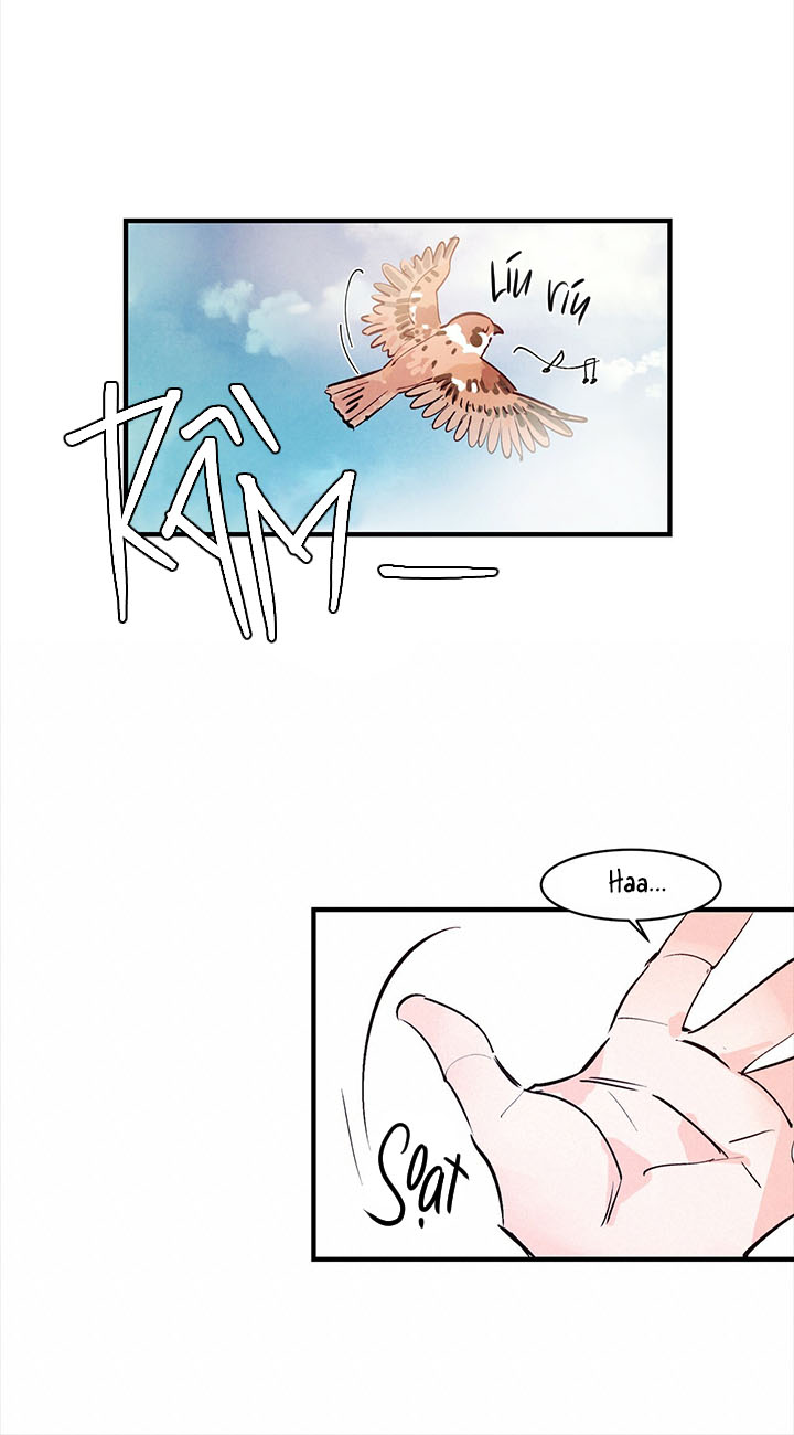 tình cuồng say chapter 14 5