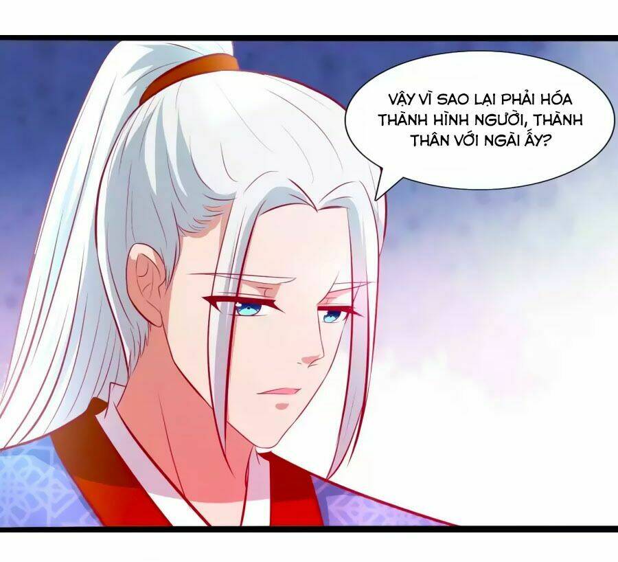 thỏ yêu tiểu vương phi chapter 55 28