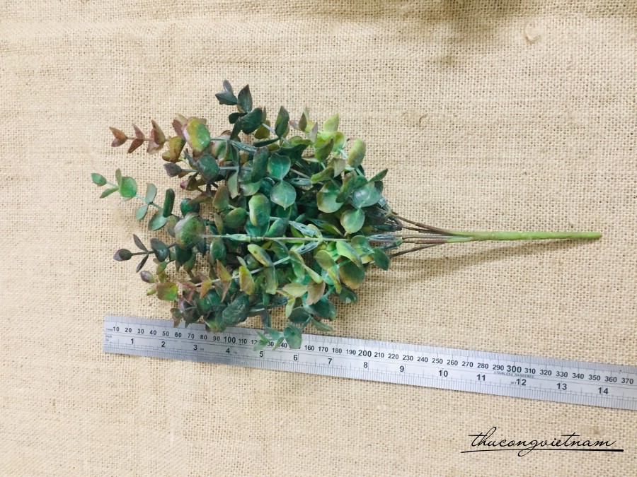 Chùm lá táo 5 nhánh - 13cm